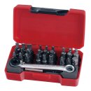 Teng Tools, ratchet bits driver with bits