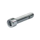 POLISHED ALLEN BOLT,CHROME 1/4-20 X 3/8