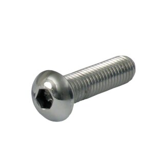 M10 X 16MM BUTTONHEAD BOLT, POLISHED SS