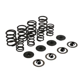 KPMI, valve spring kit. .460" lift. Steel top collars