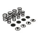 KPMI, valve spring kit. .460" lift. Steel top collars