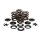 KPMI, valve spring kit. .415" lift. Steel top collars