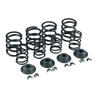 KPMI, valve spring kit. .600" lift. Aluminum top collars