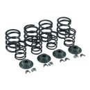 KPMI, valve spring kit. .600" lift. Aluminum top...