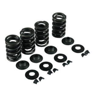 KPMI VALVE SPRING KIT .650 LIFT