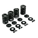 KPMI VALVE SPRING KIT .650 LIFT