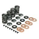KPMI VALVE SPRING KIT .550 LIFT