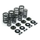 KPMI, valve spring kit. .600" lift. Steel top collars