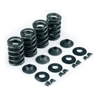 KPMI, valve spring kit. .655" lift. Steel top collars