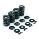 KPMI, valve spring kit. .655" lift. Steel top collars