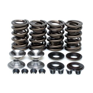 KPMI VALVE SPRING KIT .650 LIFT