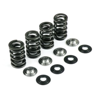 KPMI VALVE SPRING KIT .600 LIFT