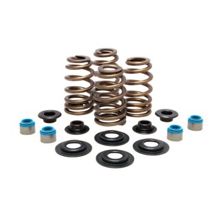 KPMI, Beehive valve spring kit. Steel. .610" lift