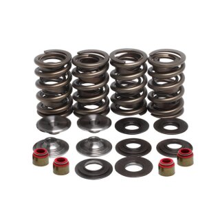 KPMI VALVE SPRING KIT .630 LIFT
