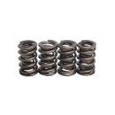 KPMI, REPL. VALVE SPRINGS