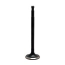 KPMI, Black Diamond intake/exhaust valve