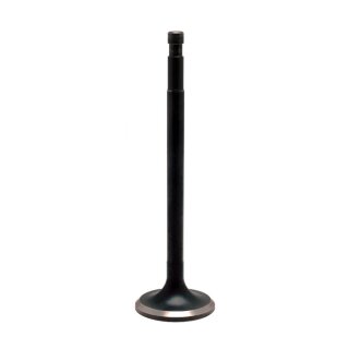 KPMI, Black Diamond intake/exhaust valve. Oversize