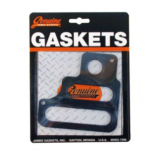 James, gasket transmission to engine. RCM