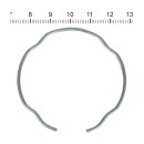 James, retaining ring for fork seal
