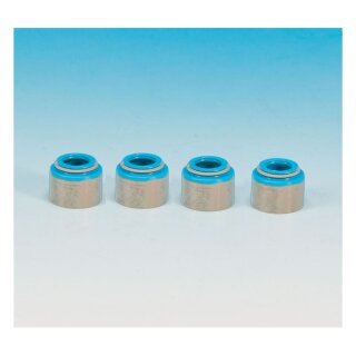 James Ventilführung Ventilschaft Dichtungen für Harley Big Twin 48-79