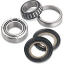 Lenkkopf Lager Kit für Harley Modelle 1949-2024