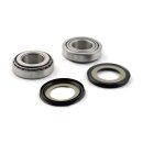Lenkkopf Lager Kit für Harley Modelle 1949-2024