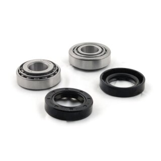 Radlager Wheel Bearing and Seal Kit für Harley Dyna Softail Sportster 73-99