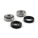 Radlager Wheel Bearing and Seal Kit für Harley Dyna...