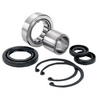 Inner Primary Primärlager Kit für Harley Big Twin 85-06