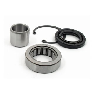 All Balls inner primary bearing & seal kit Big Twin 08-23