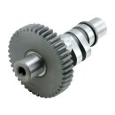 S&S, 585G camshaft (84-99 cam for 48-69 cases)