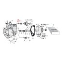 S&S, needle bearing camshaft. Full needle