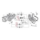 S&S, camshaft needle bearing. Inner