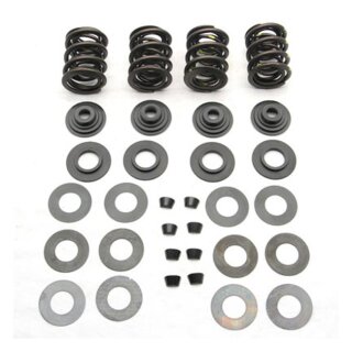 S&S, valve spring kit. Titanium top collars .590" lift