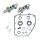S&S, chain drive 509 camshaft kit