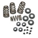S&S, Street Performance valve spring kit. .650"...