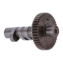 S&S, KN420 camshaft. .420" lift