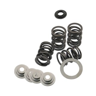 S&S, valve spring kit. STD to .480" valve lift