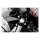 FORK PRELOAD ADJUSTERS, CLEAR ANO