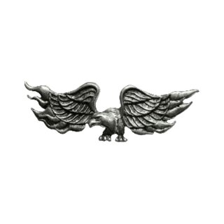 EAGLE IN FLAME PIN