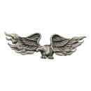 EAGLE IN FLAME PIN