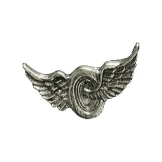SMALL WHEEL WING MOTORCYCLE PIN