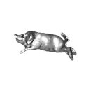 HOG PIN