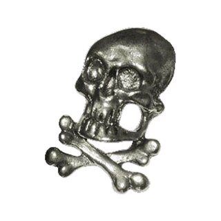 SKULL & BONES PIN
