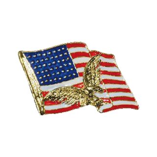 AMERICAN FLAG PIN