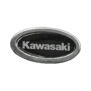 KAWASAKI TITLE PIN