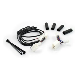 Custom Dynamics Magic Converter for Tour PakÂ®