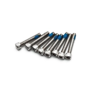 Kuryakyn, stainless screw set for Accent Rings
