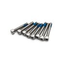 Kuryakyn, stainless screw set for Accent Rings