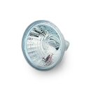 KURYAKYN LARGE 35 WATT HALOGEN BULB